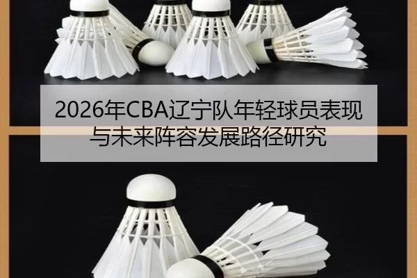 2026年CBA辽宁队年轻球员表现与未来阵容发展路径研究