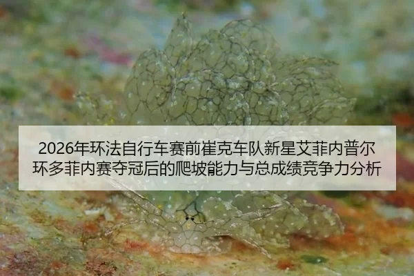 2026年环法自行车赛前崔克车队新星艾菲内普尔环多菲内赛夺冠后的爬坡能力与总成绩竞争力分析
